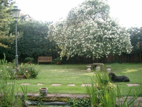 Bastgen Bed & Breakfast Hotel Wittlich Bagian luar foto