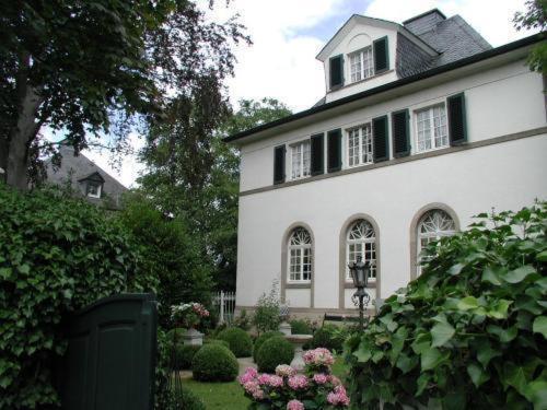 Bastgen Bed & Breakfast Hotel Wittlich Bagian luar foto